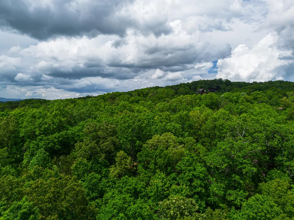 Tract 1 Century Lane Blue Ridge, GA 30513