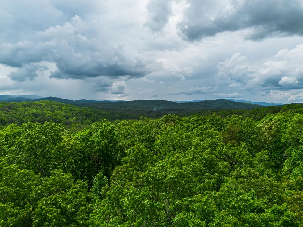 Tract 1 Century Lane Blue Ridge, GA 30513