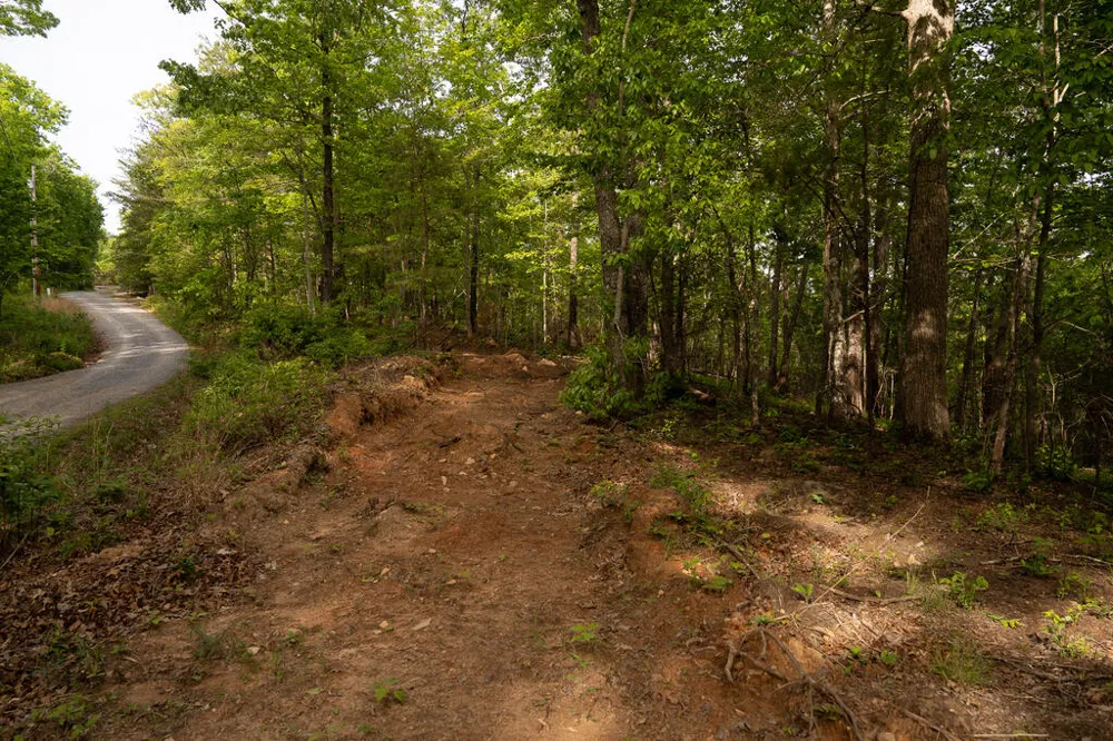 Tract 1 Century Lane Blue Ridge, GA 30513