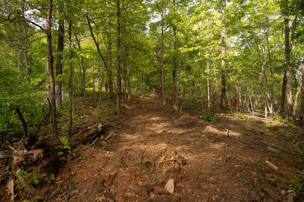 Tract 1 Century Lane Blue Ridge, GA 30513