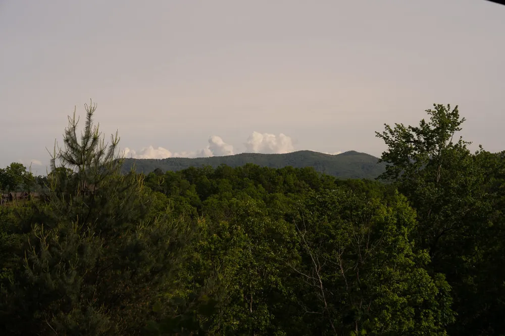 Tract 1 Century Lane Blue Ridge, GA 30513