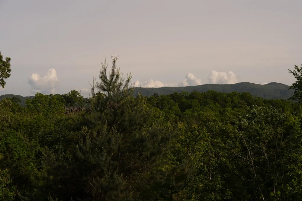 Tract 1 Century Lane Blue Ridge, GA 30513