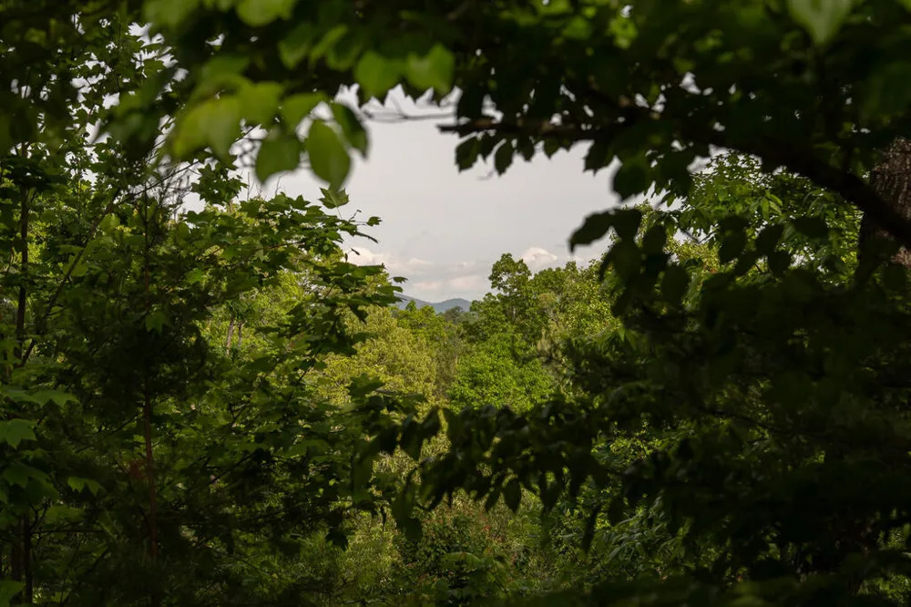 Tract 1 Century Lane Blue Ridge, GA 30513
