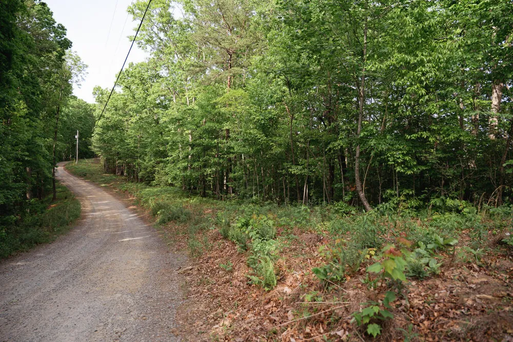 Tract 1 Century Lane Blue Ridge, GA 30513