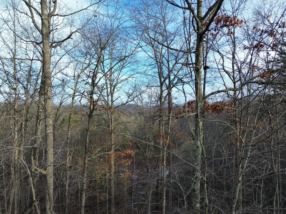 Tract 1 Century Lane Blue Ridge, GA 30513
