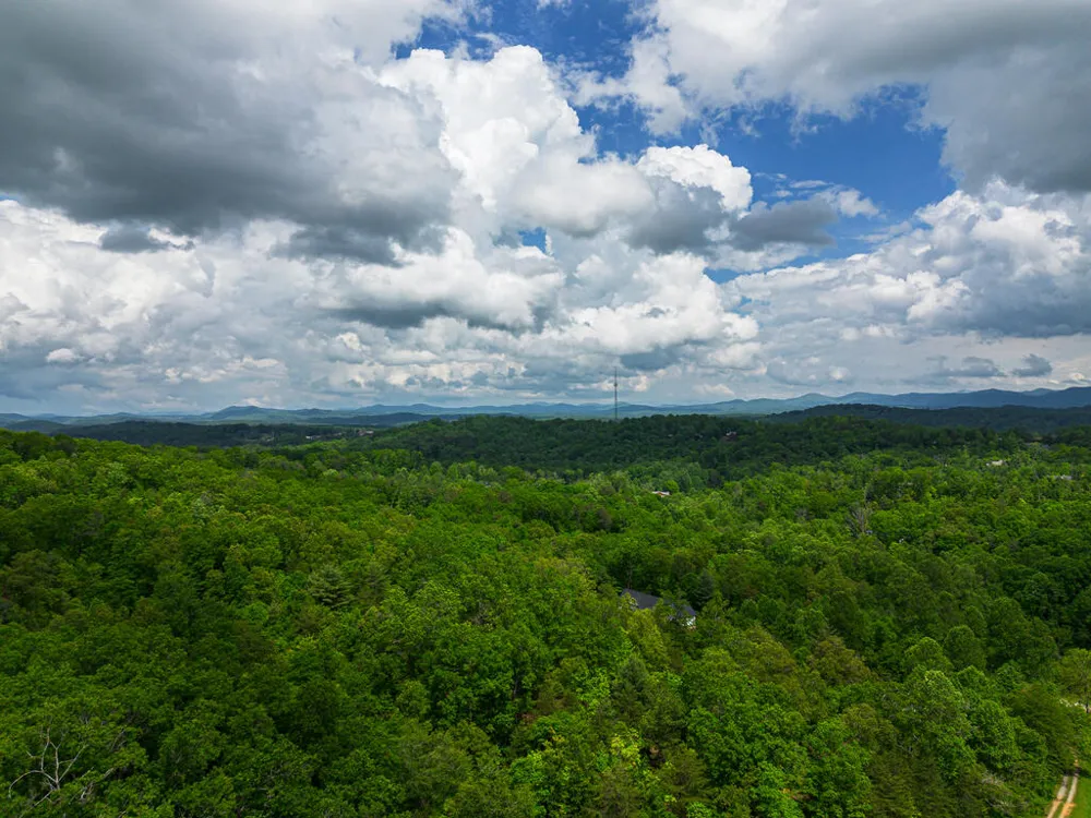 Tract 1 Century Lane Blue Ridge, GA 30513