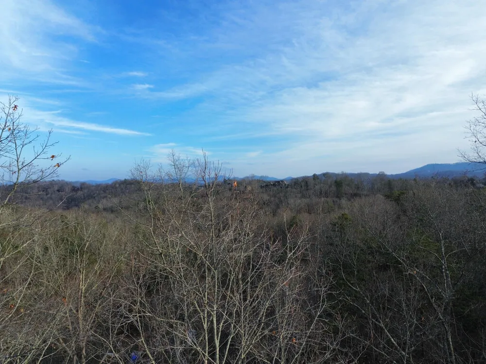 Tract 1 Century Lane Blue Ridge, GA 30513