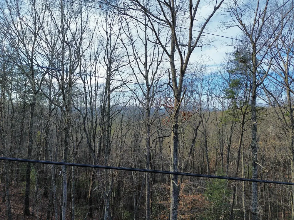 Tract 1 Century Lane Blue Ridge, GA 30513
