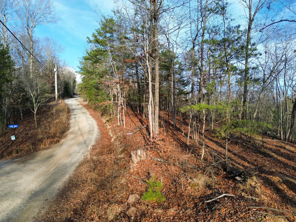 Tract 1 Century Lane Blue Ridge, GA 30513