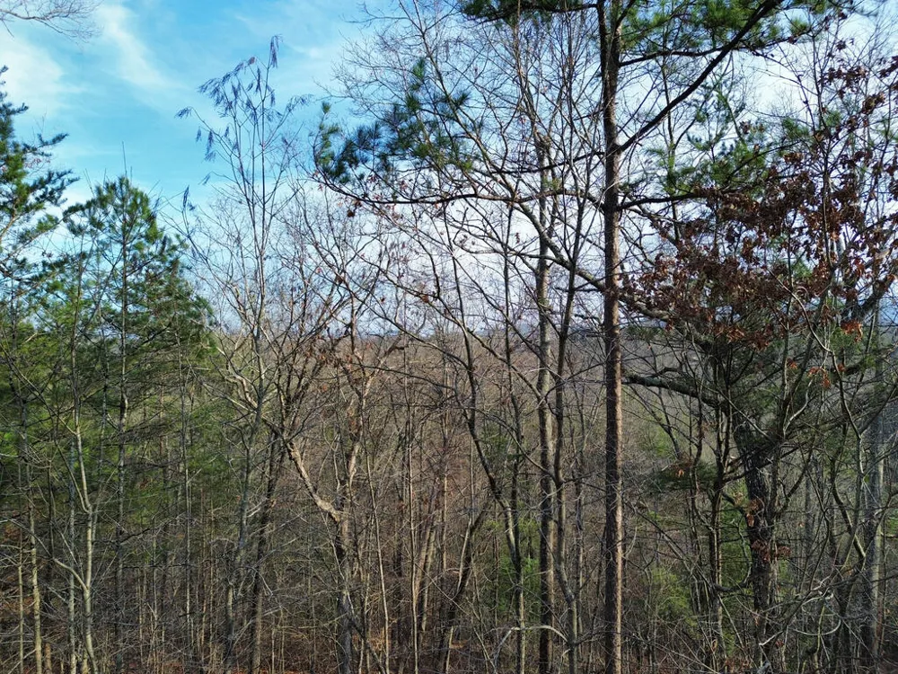 Tract 1 Century Lane Blue Ridge, GA 30513