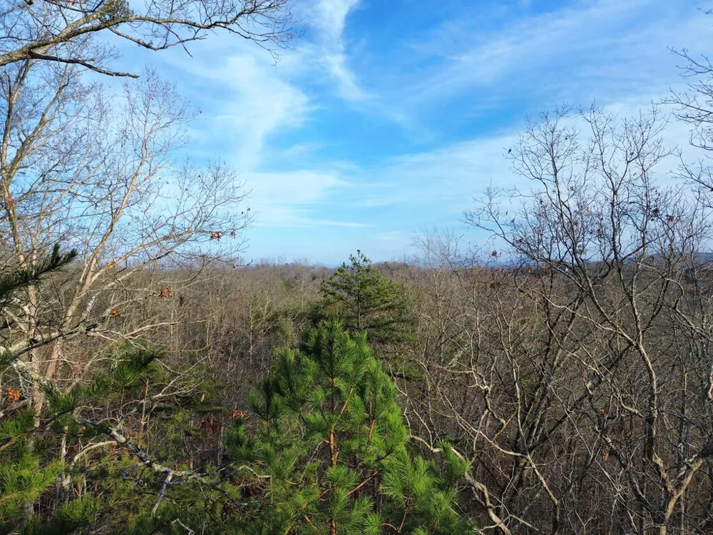 Tract 1 Century Lane Blue Ridge, GA 30513