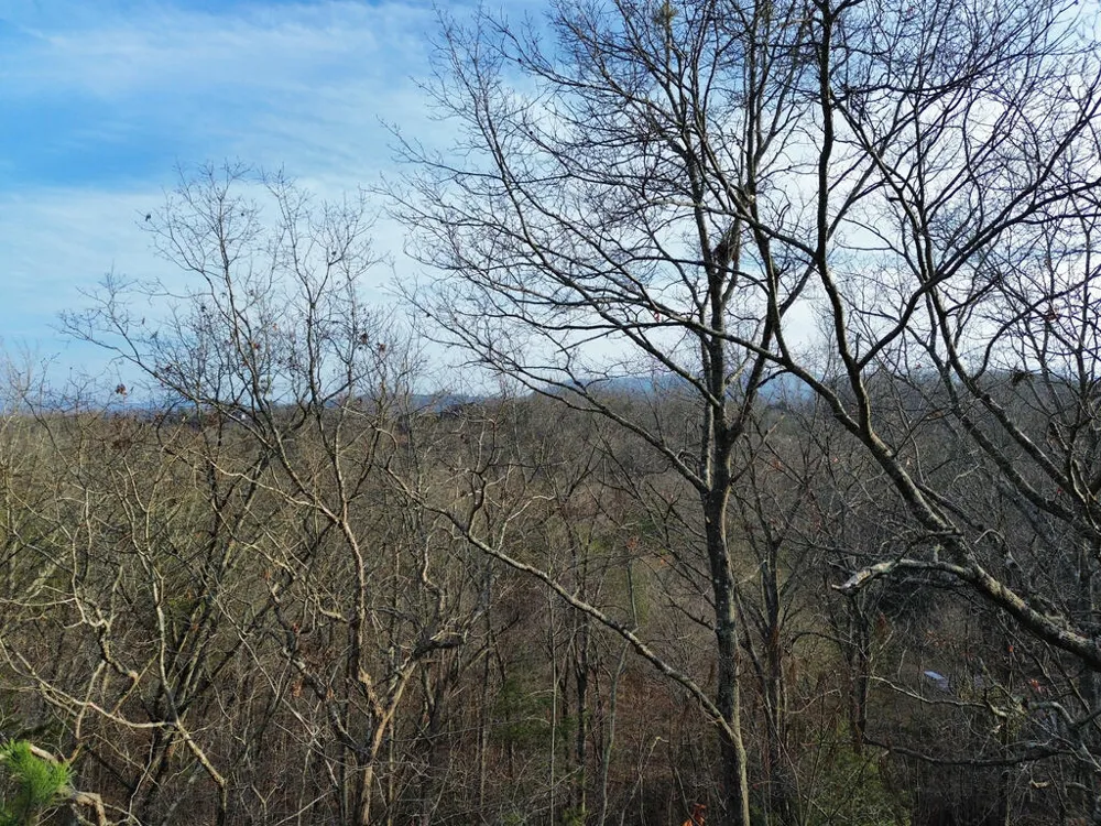 Tract 1 Century Lane Blue Ridge, GA 30513