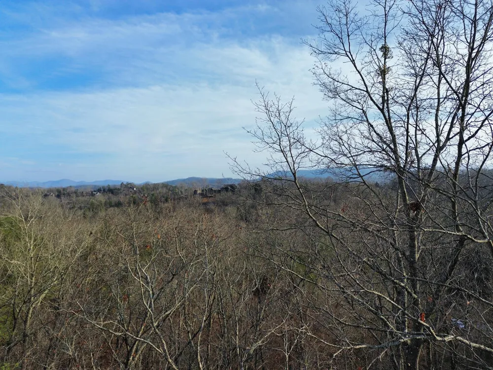 Tract 1 Century Lane Blue Ridge, GA 30513