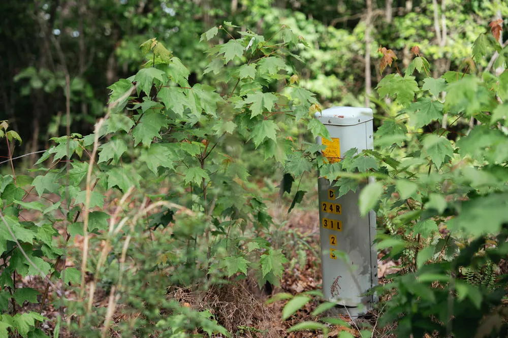 Tract 1 Century Lane Blue Ridge, GA 30513