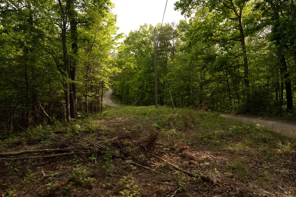 Tract 1 Century Lane Blue Ridge, GA 30513