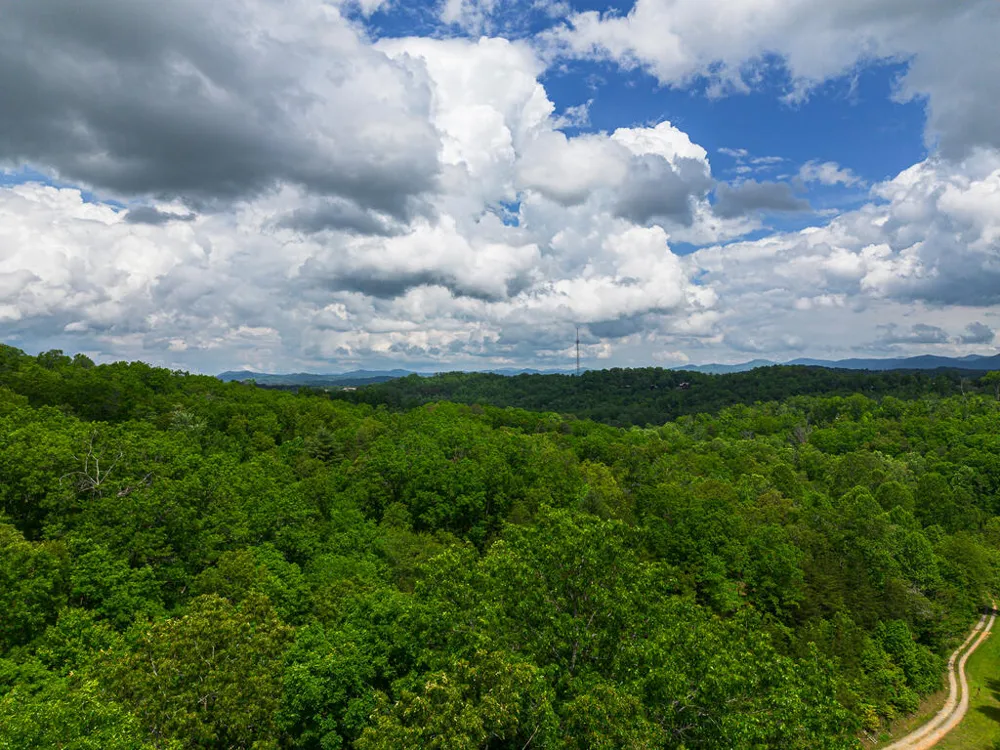 Tract 2 Century Lane Blue Ridge, GA 30513