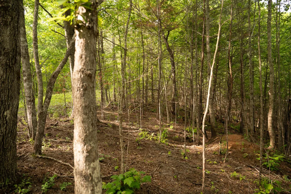 Tract 2 Century Lane Blue Ridge, GA 30513