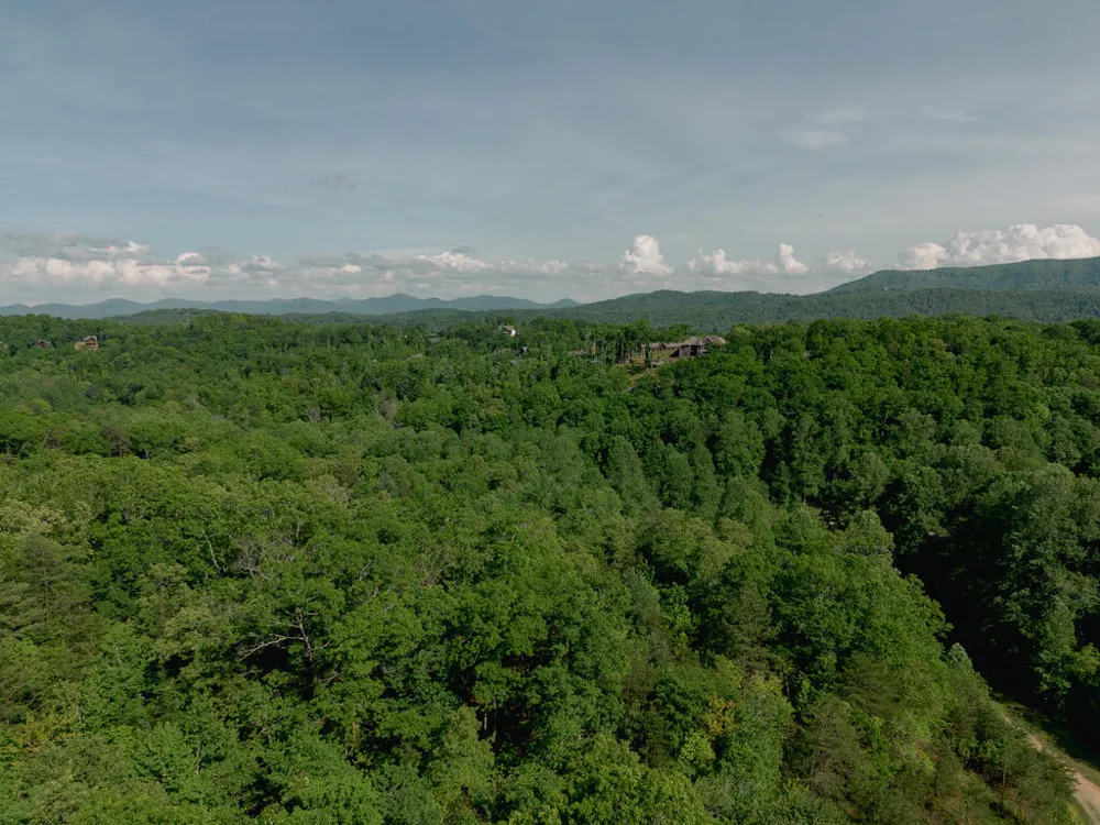 Tract 2 Century Lane Blue Ridge, GA 30513