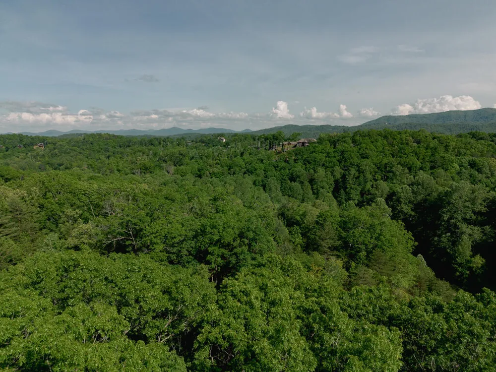 Tract 2 Century Lane Blue Ridge, GA 30513