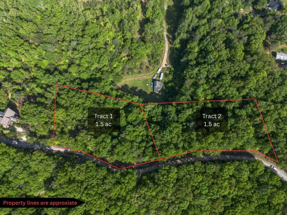 Tract 2 Century Lane Blue Ridge, GA 30513