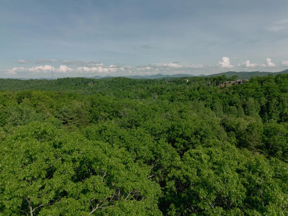 Tract 2 Century Lane Blue Ridge, GA 30513