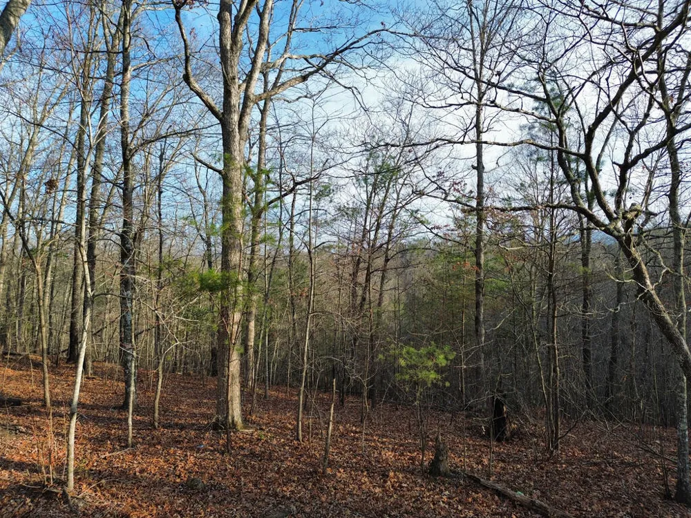 Tract 2 Century Lane Blue Ridge, GA 30513