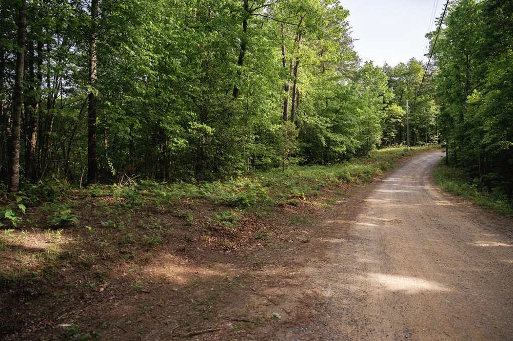 Tract 2 Century Lane Blue Ridge, GA 30513