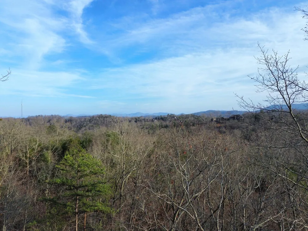 Tract 2 Century Lane Blue Ridge, GA 30513