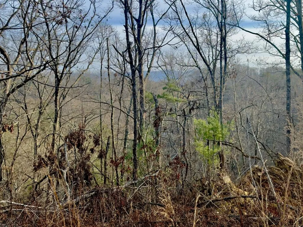 Tract 2 Century Lane Blue Ridge, GA 30513