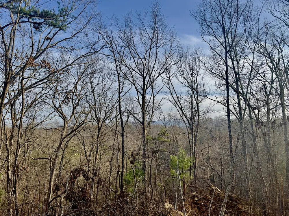 Tract 2 Century Lane Blue Ridge, GA 30513