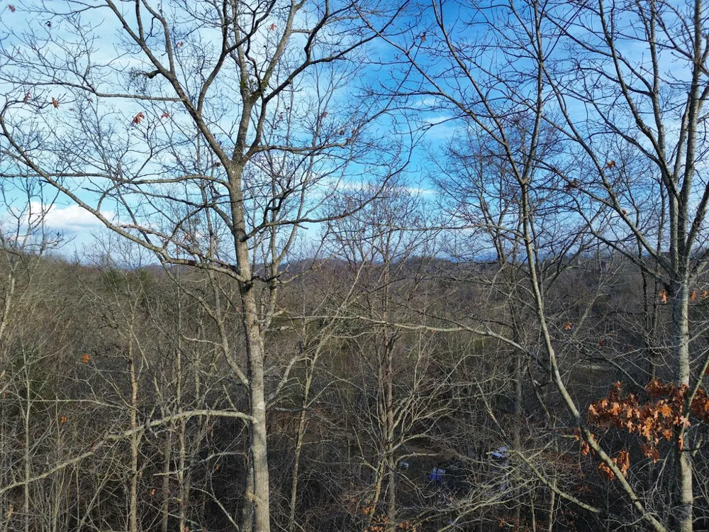 Tract 2 Century Lane Blue Ridge, GA 30513