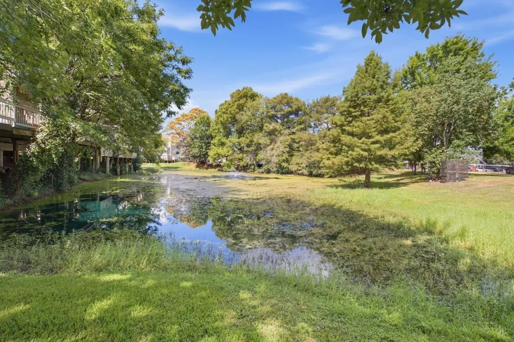 111 Dunbar Estates Drive #803 Friendswood, TX 77546