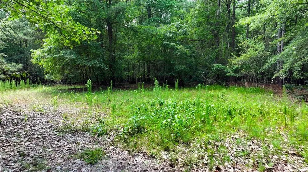 3525 Hamilton Mill Road Buford, GA 30519