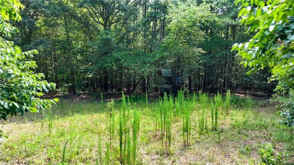 3525 Hamilton Mill Road Buford, GA 30519