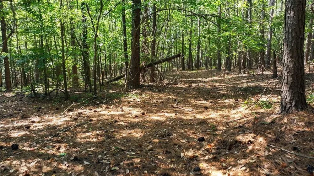 3525 Hamilton Mill Road Buford, GA 30519