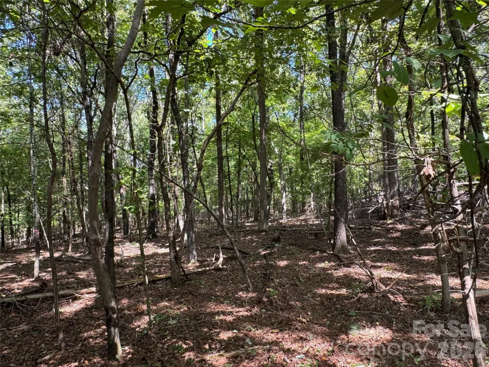 2344 Rockholt Drive Blackstock, SC 29014