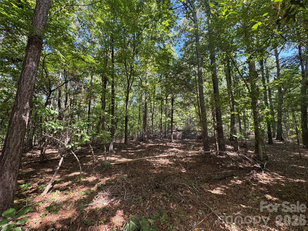 2344 Rockholt Drive Blackstock, SC 29014