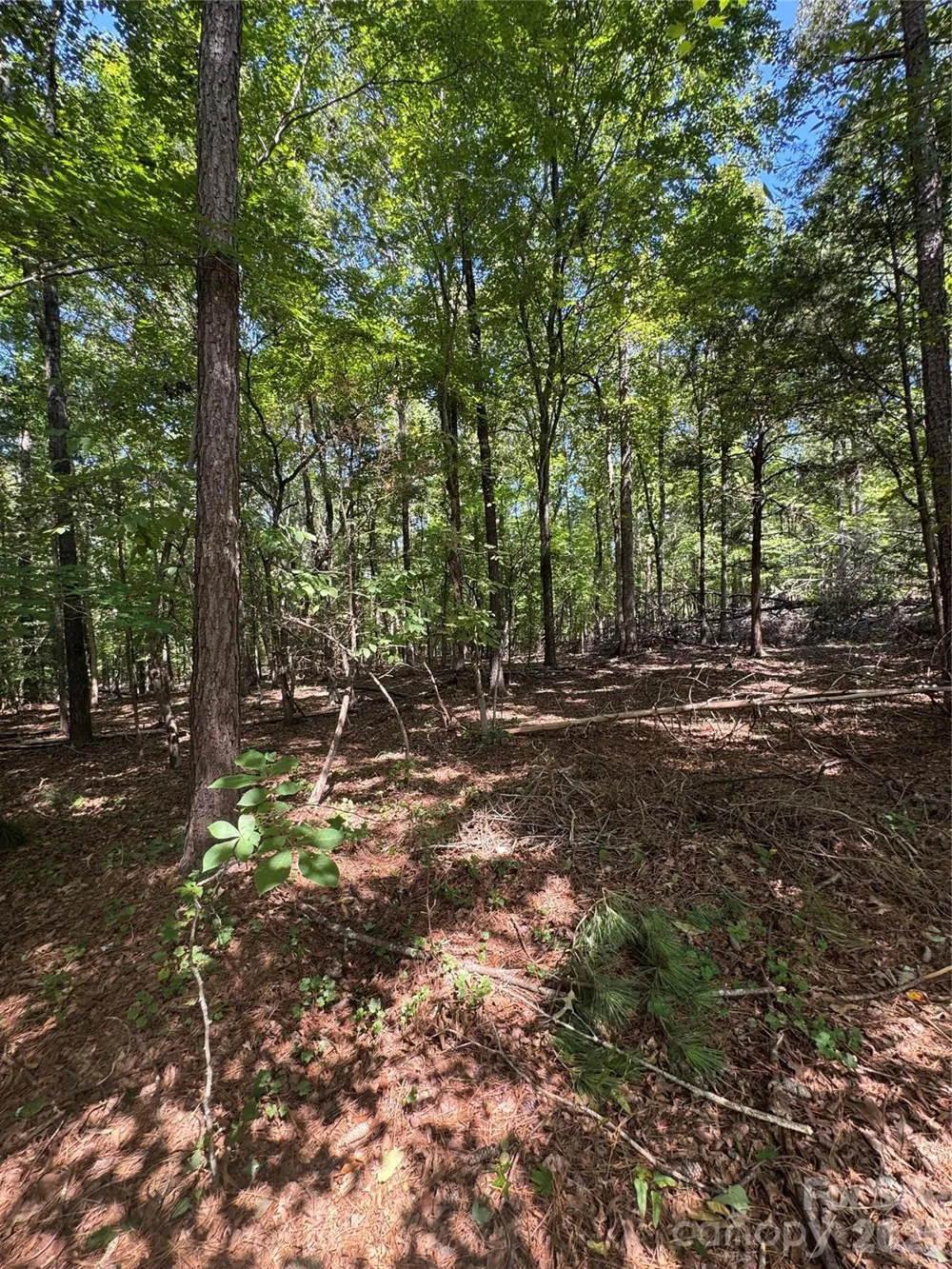 2344 Rockholt Drive Blackstock, SC 29014