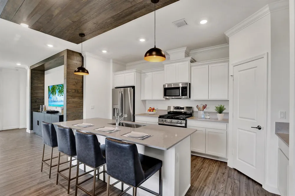19003 WOOD STORK WAY 