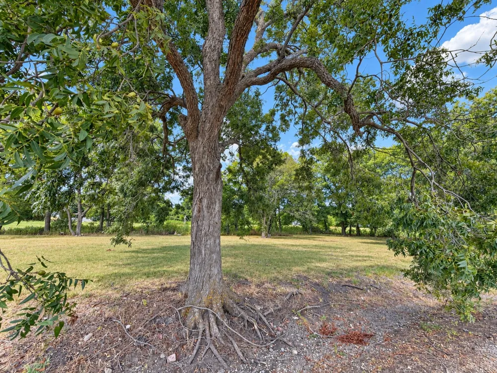 82 10th Street Honey Grove, TX 75446