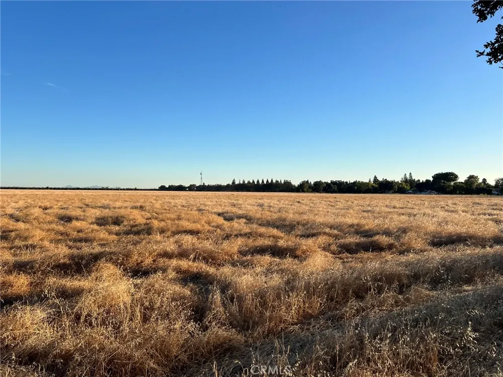 Esquon Road Durham, CA 95938