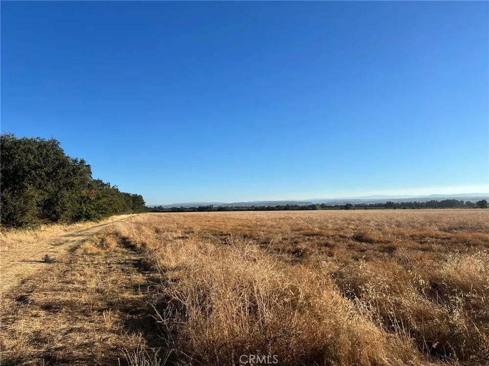 Esquon Road Durham, CA 95938