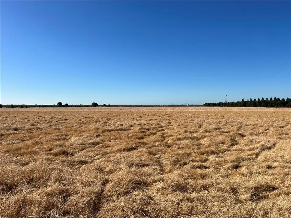 Esquon Road Durham, CA 95938