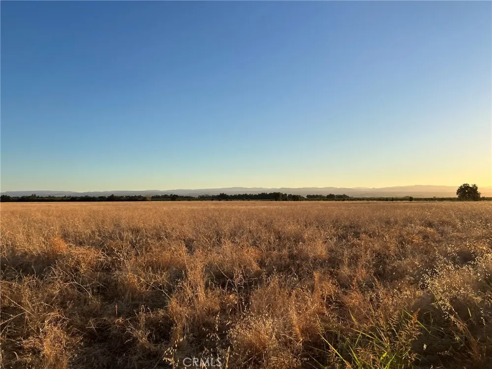 Esquon Road Durham, CA 95938