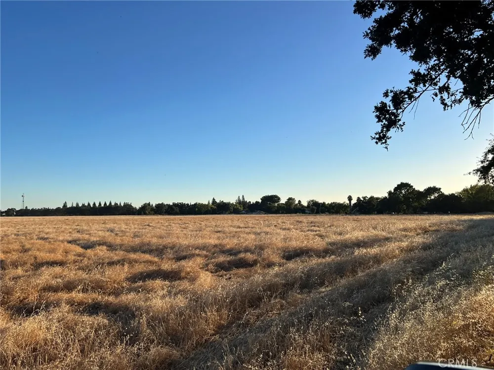 Esquon Road Durham, CA 95938