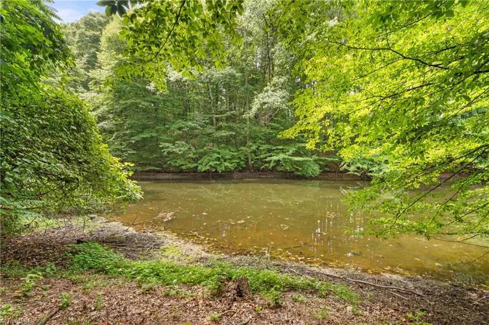 204 Tullyries Lane Lewisville, NC 27023