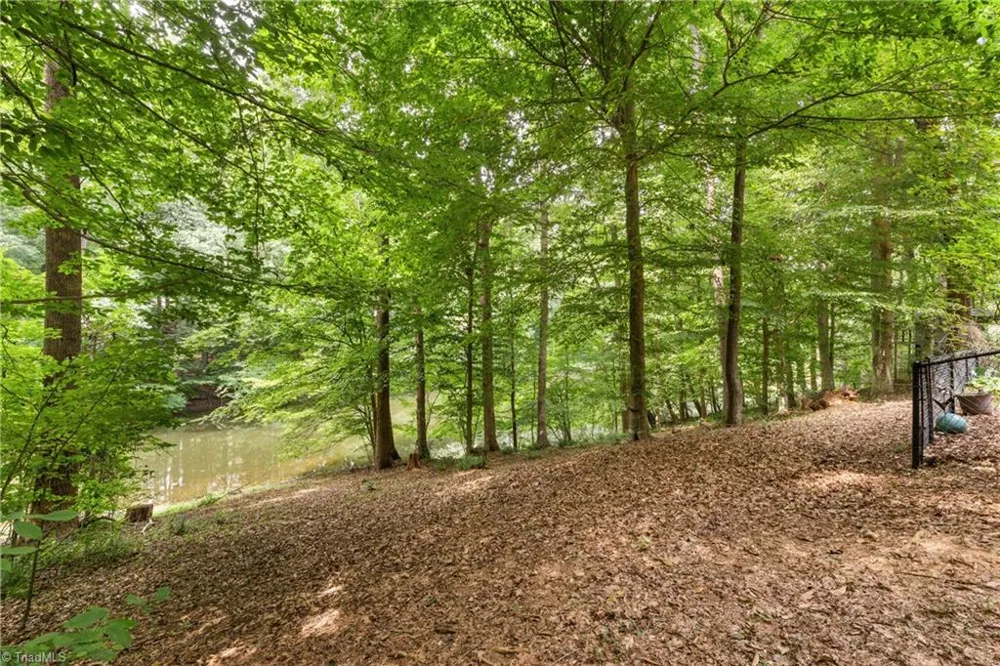 204 Tullyries Lane Lewisville, NC 27023