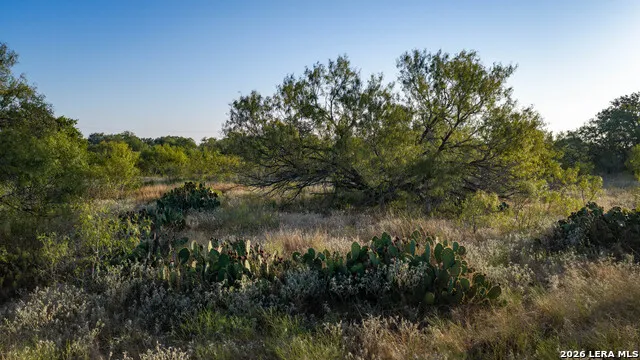 13407 Fm 1346 St Hedwig, TX 78152