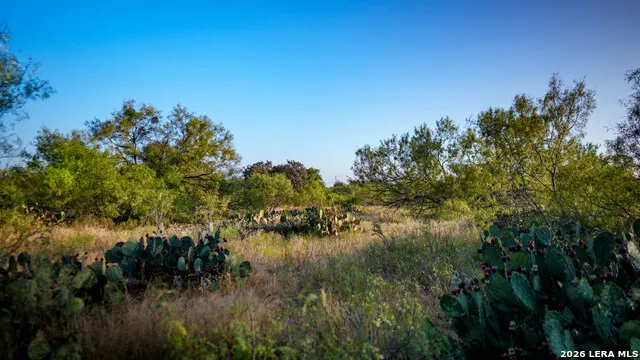 13407 Fm 1346 St Hedwig, TX 78152