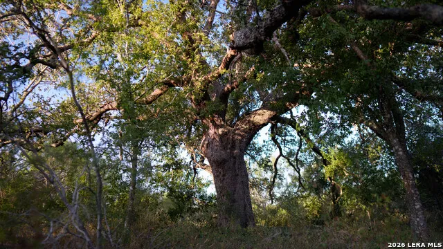 13407 Fm 1346 St Hedwig, TX 78152